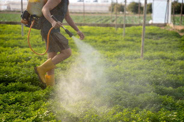 Best Pest Prevention Services  in Devon, PA