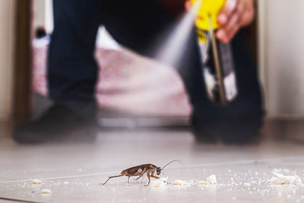 Pest Control Cost in Devon, PA
