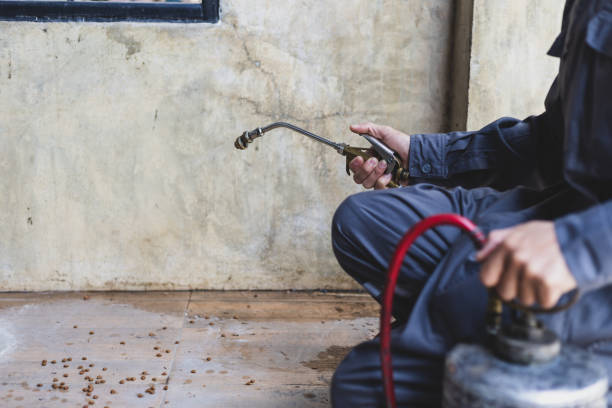 Best Exterminator Services  in Devon, PA